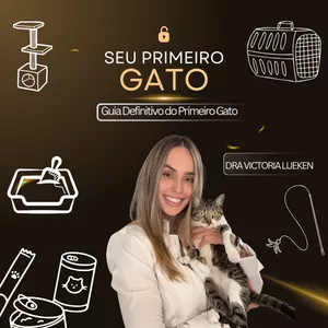 Imagem de capa para o Curso online Seu Primeiro Gato