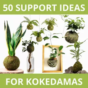 Cover image for Ebook 50 creative ideas for kokedama holders.