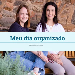 Imagem de capa para o Ebook Meu dia organizado 