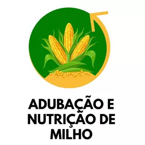 Imagem de capa para o Curso online Adubação e Nutrição profissional em Milho