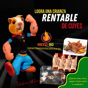 Imagen de portada para Curso online Logra una crianza rentable de cuyes_Reto de 90 Días