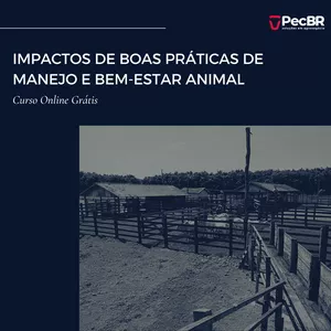 Imagem de capa para o Curso online IMPACTOS DE BOAS PRÁTICAS DE MANEJO E BEM-ESTAR ANIMAL