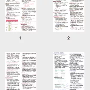 Imagem de capa para o Ebook Resumos sobre Neonatologia - Medicina PBL