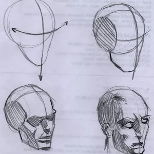 Desenho da Cabeça 