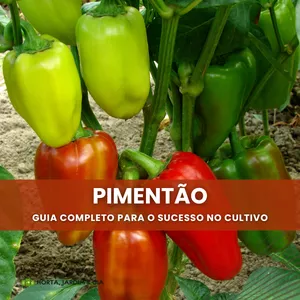 Imagem de capa para o Ebook Pimentão Perfeito: Segredos Para Cultivar o Melhor Sabor em Seu Jardim