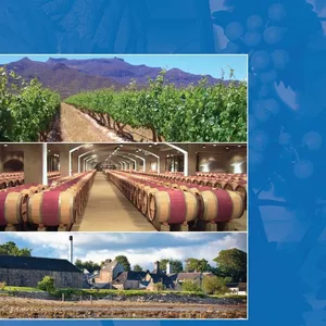 Imagem de capa para o Ebook CURSO DE VINHO PARA INICIANTES E INICIADOS