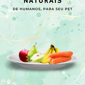 Imagem de capa para o Ebook Petiscos Naturais