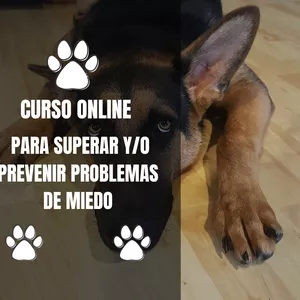 Imagen de portada para Curso online Curso para miedos