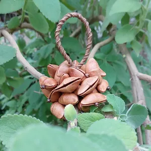 Imagem de capa para o Curso online Chocalho de Aguaí - Passo a passo
