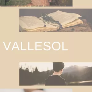 Imagen de portada para Ebook Vallesol