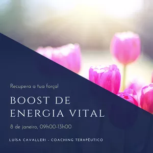Imagem principal do produto Imersão Boost de Energia Vital