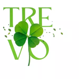 Imagem de capa para o Curso online JORNADA DO TREVO