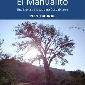 Imagen de portada para Ebook El manualito: una lluvia de ideas para despabilarse