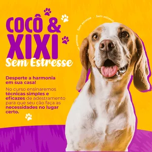 Imagem do curso Cocô &amp; Xixi sem Estresse 