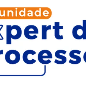 Imagem de capa para o Curso online Programa de Formação do Expert de Processos