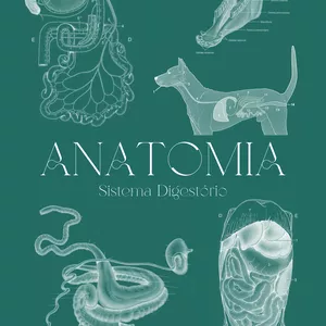 Imagem de capa para o Ebook Apostila de anatomia do sistema ​digestório: guia completo para ​estudantes de veterinária