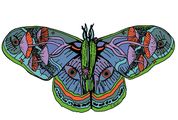 Life Warrior Wellness logo