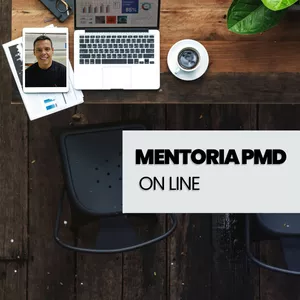 Imagem de capa para o Curso online Mentoria PMD
