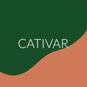 Imagem de capa para o Curso online Comunidade Cativar