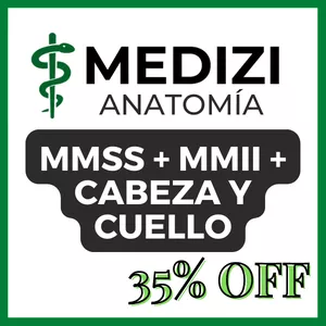 Imagen de portada para Ebook MMSS + MMII + Cabeza y cuello completos