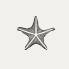 Foto do autor Estrela do Mar
