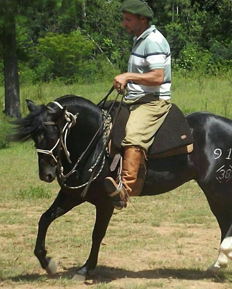 Imagem do curso Aprenda os Segredos do Giro! 