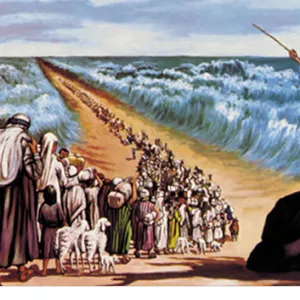 Imagem de capa para o Ebook a voz que dis que sou a voz do siao 