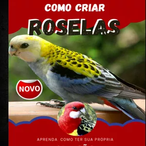 Imagem de capa para o Ebook COMO CRIAR ROSELAS