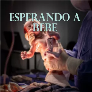 Imagen de portada para Curso online Esperando a bebe