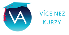 Více než kurzy logo