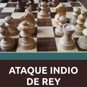 Imagen de portada para Ebook Ataque indio de rey