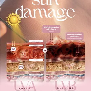 Cover image for Ebook Skin Diagrams 