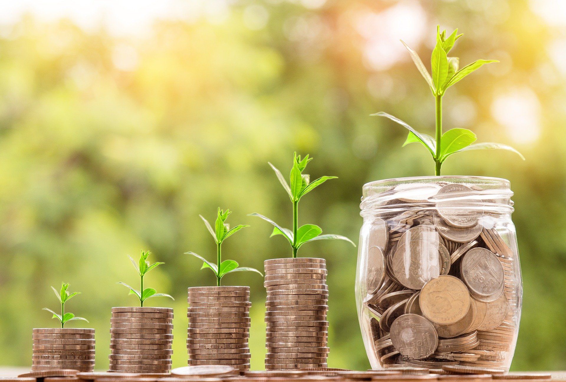 Imagem do curso Investindo com Inteligência