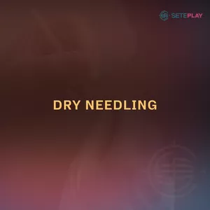 Imagem de capa para o Curso online Curso Introdução ao Dry Needling