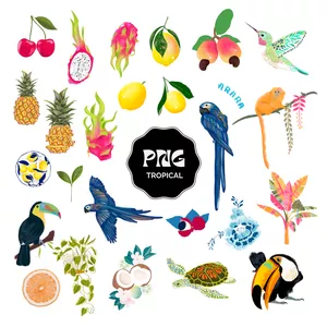 Imagem de capa para o Curso online Kit Digital Tropical brasilidade