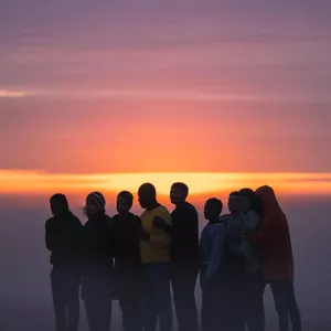 Imagem do curso Repatriando as Emoções em Terras Estrangeiras 