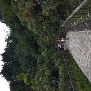 Imagen de portada para Curso online camino de montaña