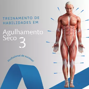 Imagem de capa para o Curso online Treinamento de habilidades em Agulhamento Seco 3