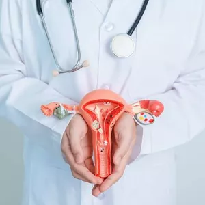 Imagem de capa para o Ebook Ginecologia 