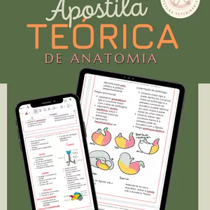 Imagem de capa para o Ebook Apostila teórica de anatomia de sistemas