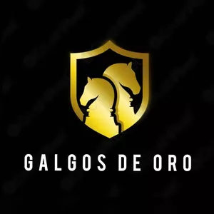 Imagem principal do produto INVERSIONES DEPORTIVAS: "GALGOS DE ORO" TÚ COMUNIDAD DE APUESTAS DEPORTIVAS