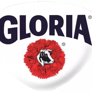 Cover image for Ebook MEX in 3O DAYS