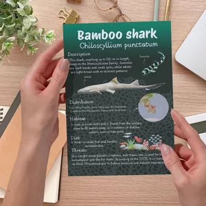 Cover image for Online course Bamboo Shark Poster/ Poster Tiburón Bambú 
