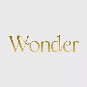 Imagem de capa para o Curso online Comunidade Wonder