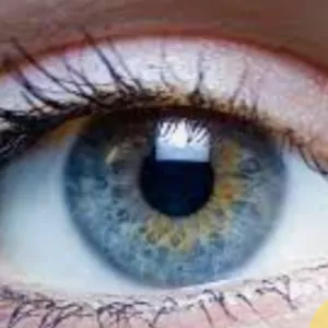 Cover image for Online course Dicas semanais de visão