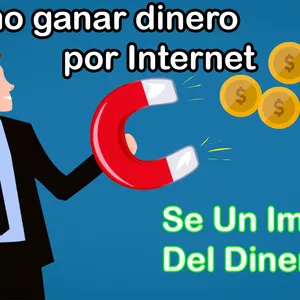 Imagem principal do produto FORMAS PARA GANAR DINERO X INTERNET