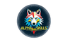 ALPHA Skills Course