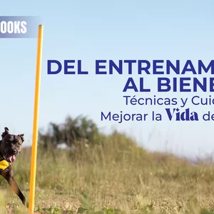 Imagen de portada para Curso online Pack "Del Entrenamiento al Bienestar: Técnicas y Cuidados para Mejorar la Vida de Tu Perro"