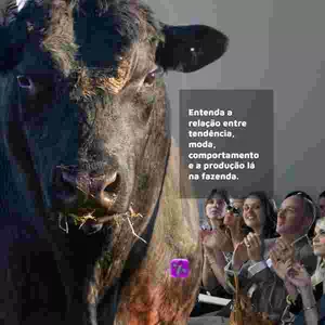Imagem do curso Além da Porteira: Tendências, Moda e Comportamento no Mercado da Carne 