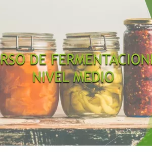 Imagen de portada para Curso online Curso de Fermentaciones nivel medio